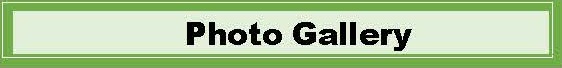 Button_Photo_Gallery