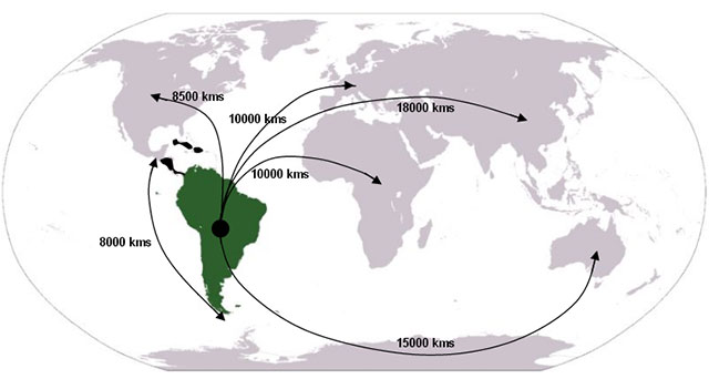 Figure 1. Location of SA and distance to other ISSMGE regions